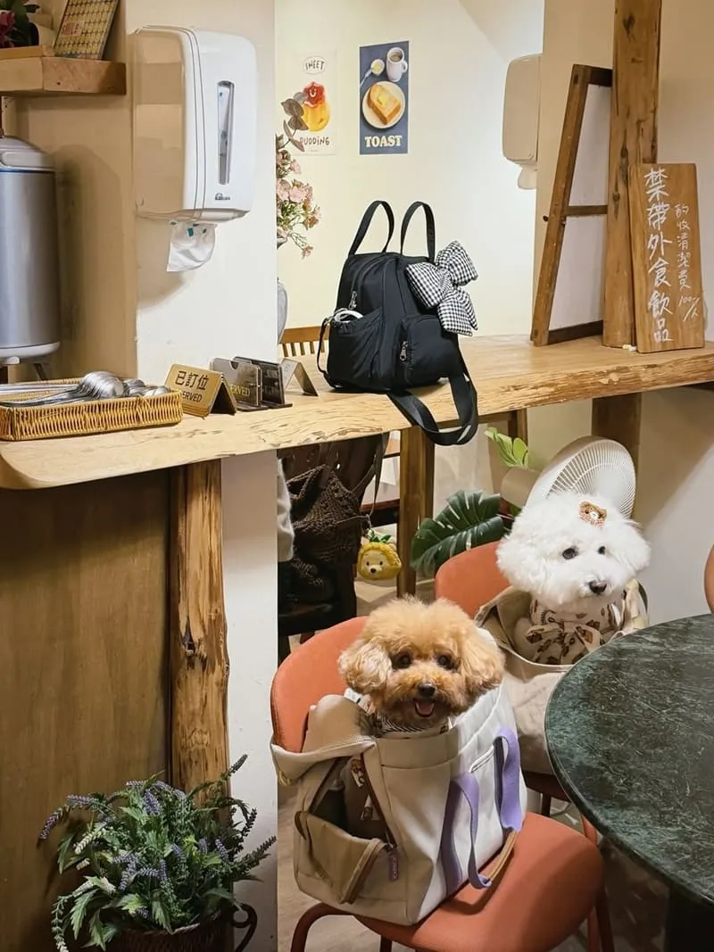 金香JIN PANG|台中北屯寵物友善規範:訂位規則、低消限時與推車入內 5 金香JIN PANG|台中北屯寵物友善餐廳