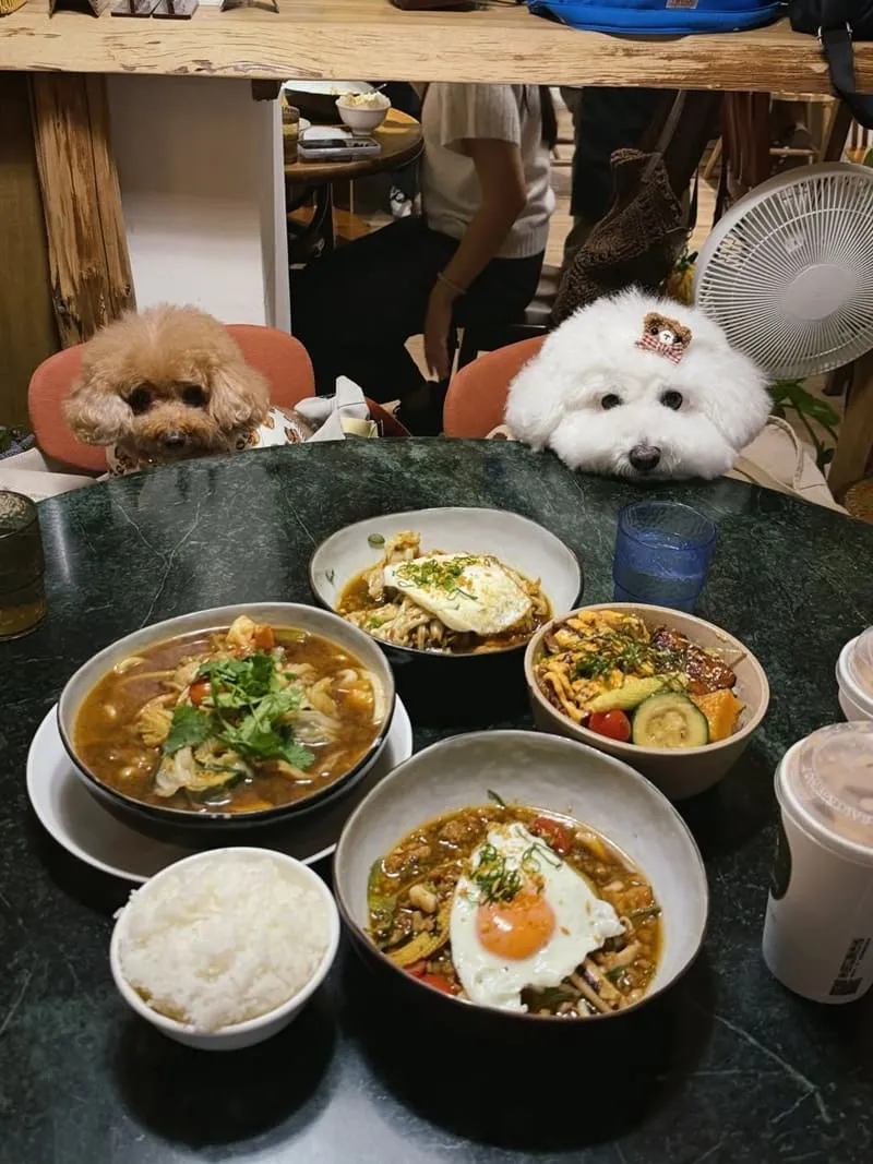 金香JIN PANG|台中北屯寵物友善規範:訂位規則、低消限時與推車入內 7 金香JIN PANG|台中北屯寵物友善餐廳