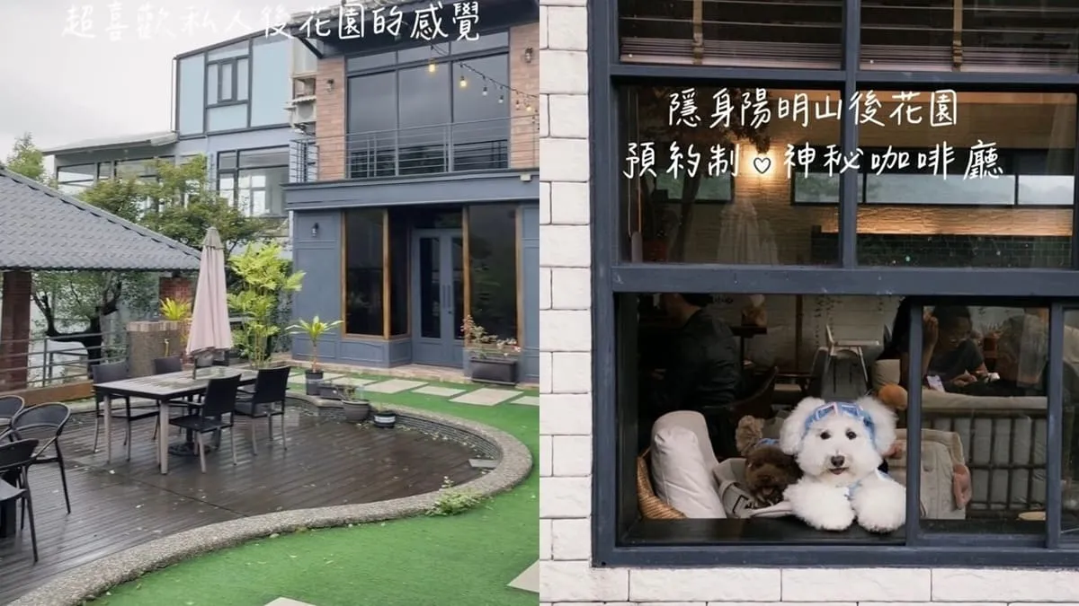 金山猿咖啡 寵物友善山景咖啡