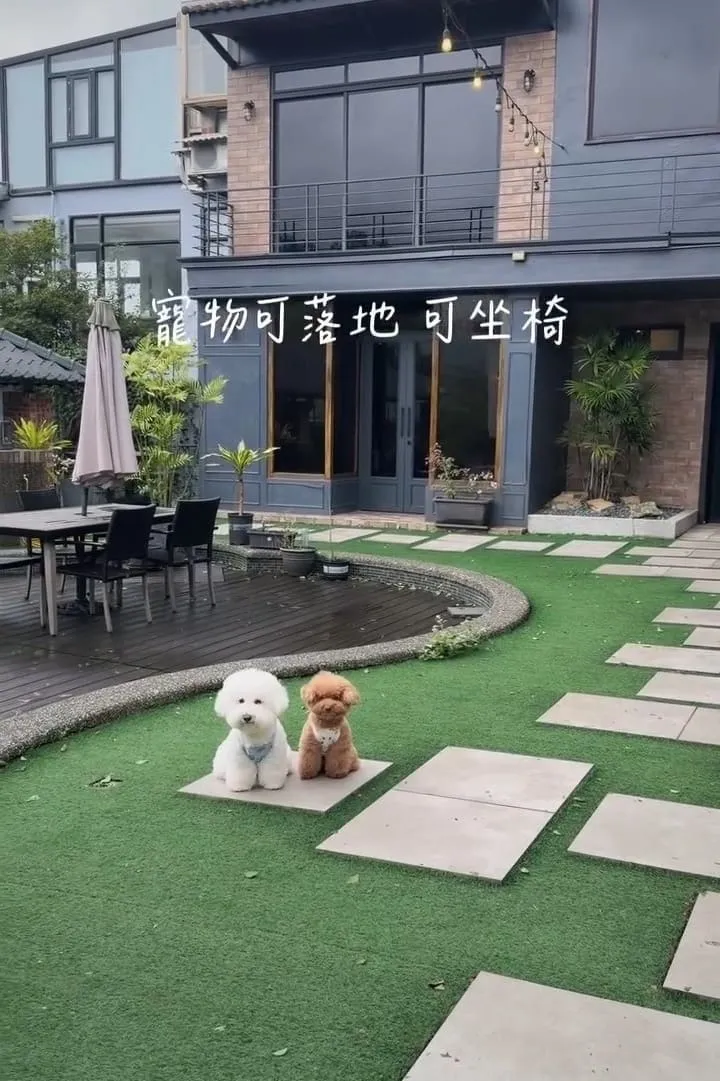 金山猿咖啡 寵物友善山景咖啡|毛孩牽繩落地×週末限定散步午後 3 金山猿咖啡 寵物友善山景咖啡