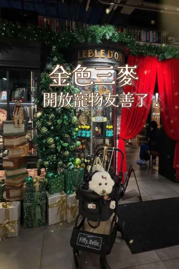金色三麥 桃園藝文店|帶毛孩聚餐更順:不落地規則、座位建議與停車攻略 3 金色三麥 桃園藝文店
