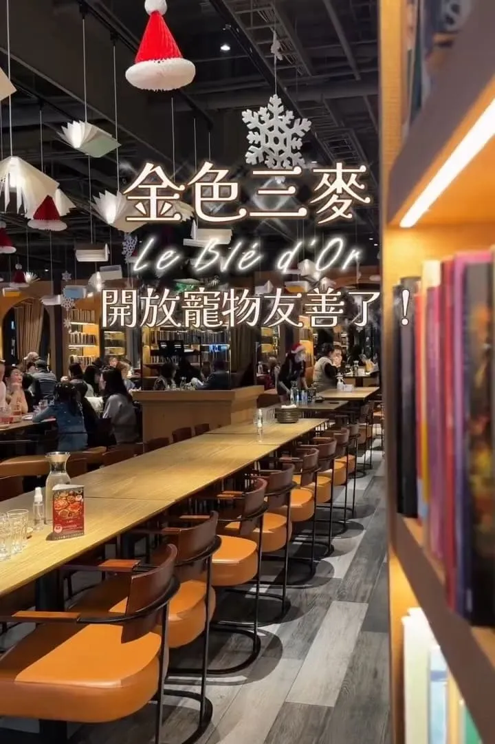 金色三麥 桃園藝文店|帶毛孩聚餐更順:不落地規則、座位建議與停車攻略 4 金色三麥 桃園藝文店