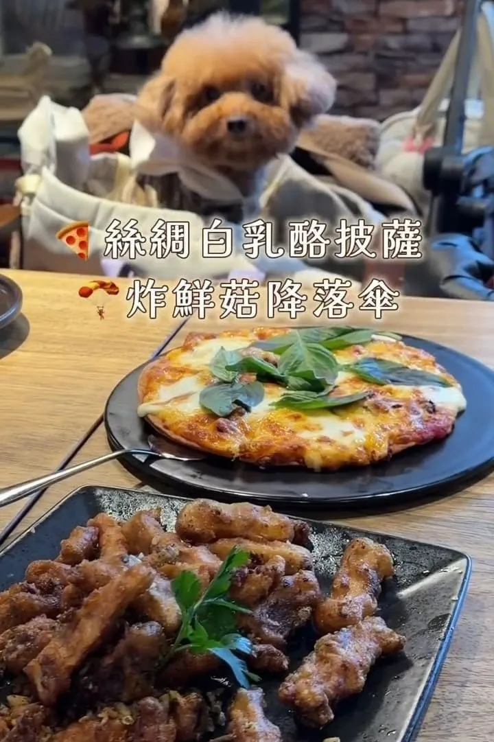 金色三麥 桃園藝文店|帶毛孩聚餐更順:不落地規則、座位建議與停車攻略 7 金色三麥 桃園藝文店