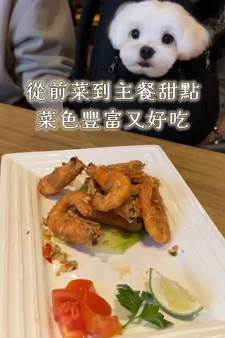 金色三麥 桃園藝文店|帶毛孩聚餐更順:不落地規則、座位建議與停車攻略 9 金色三麥 桃園藝文店