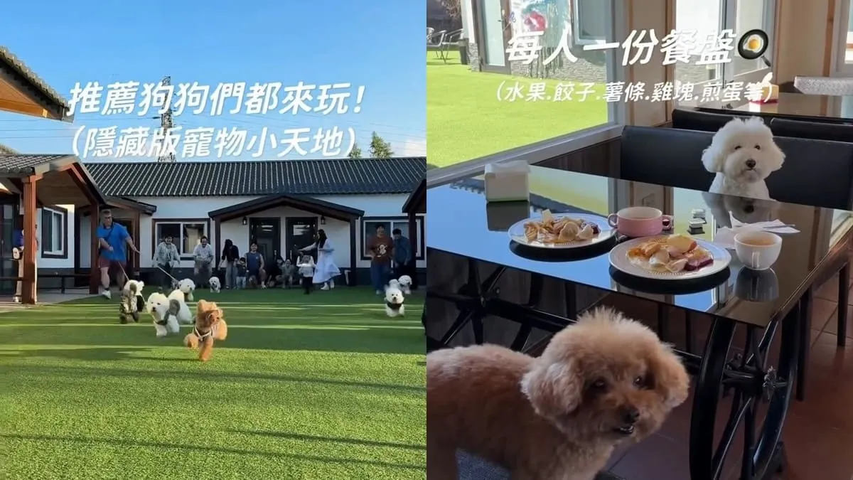 埔里樂居民宿 寵物友善住宿