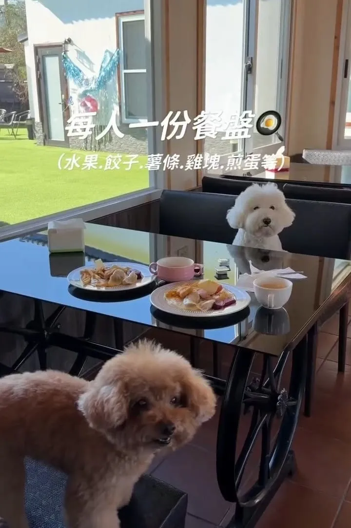 埔里樂居民宿 寵物友善住宿開箱|大草皮放繩奔跑,狗狗放風首選基地 12 埔里樂居民宿 寵物友善住宿