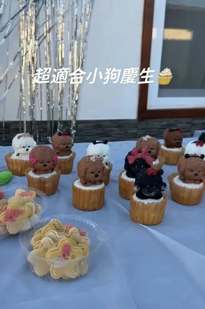 埔里樂居民宿 寵物友善住宿開箱|大草皮放繩奔跑,狗狗放風首選基地 14 埔里樂居民宿 寵物友善住宿