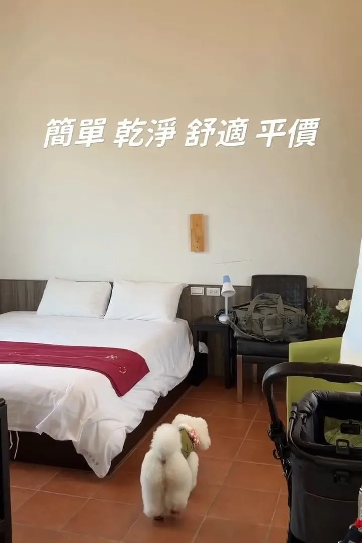 埔里樂居民宿 寵物友善住宿開箱|大草皮放繩奔跑,狗狗放風首選基地 6 埔里樂居民宿 寵物友善住宿