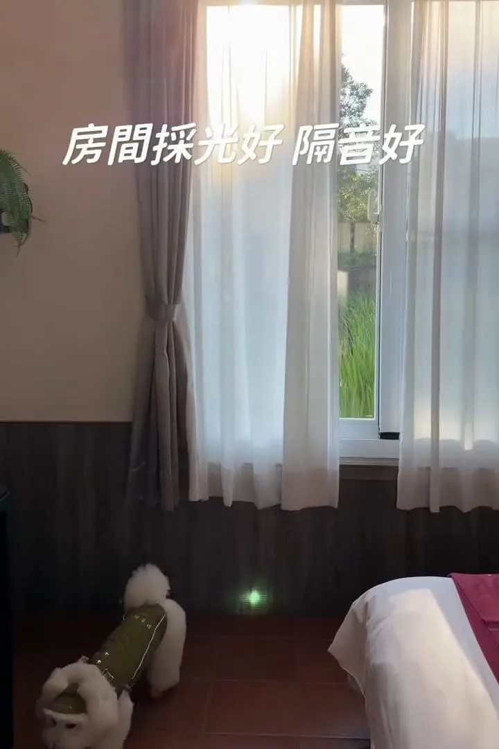 埔里樂居民宿 寵物友善住宿開箱|大草皮放繩奔跑,狗狗放風首選基地 7 埔里樂居民宿 寵物友善住宿