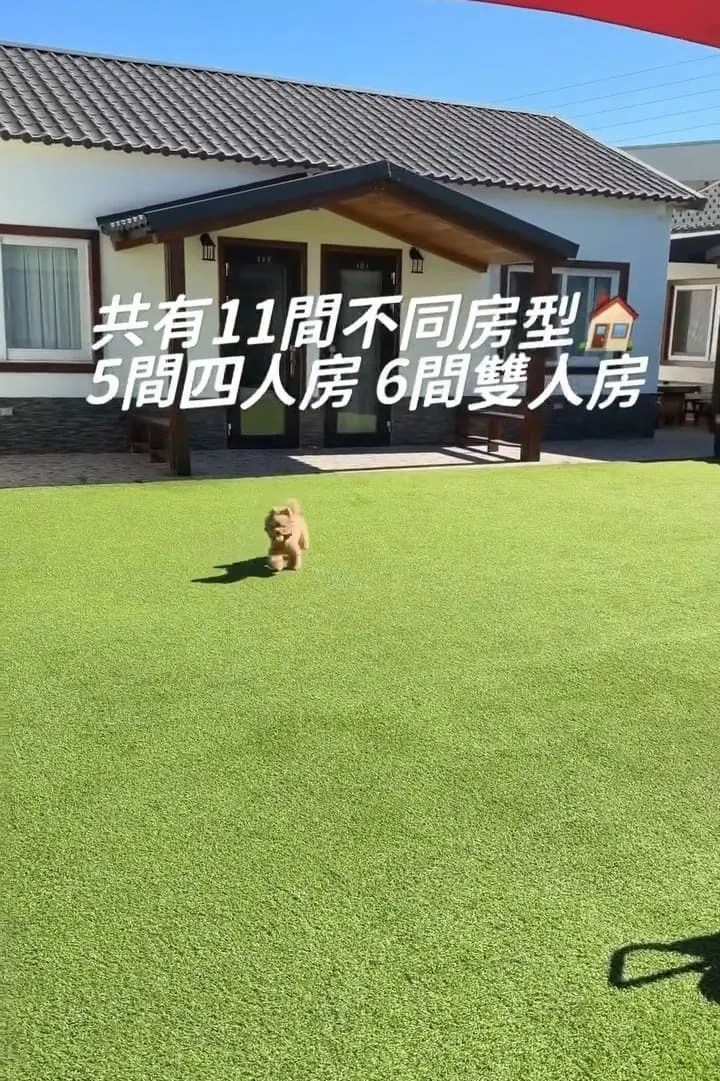 埔里樂居民宿 寵物友善住宿開箱|大草皮放繩奔跑,狗狗放風首選基地 9 埔里樂居民宿 寵物友善住宿