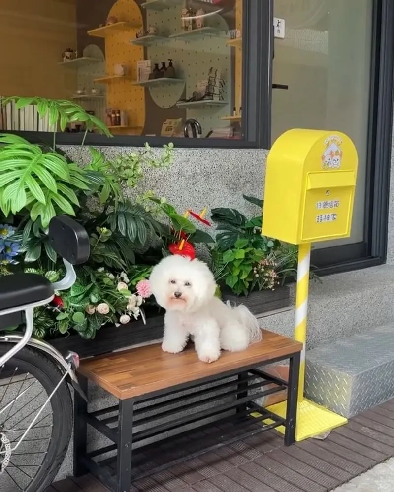 喆柚家 宜蘭礁溪寵物友善溫泉住宿