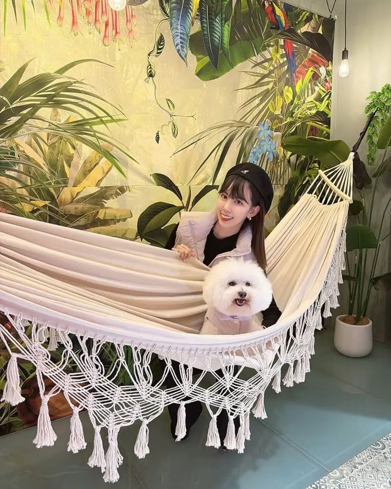 喆柚家 宜蘭礁溪寵物友善溫泉住宿