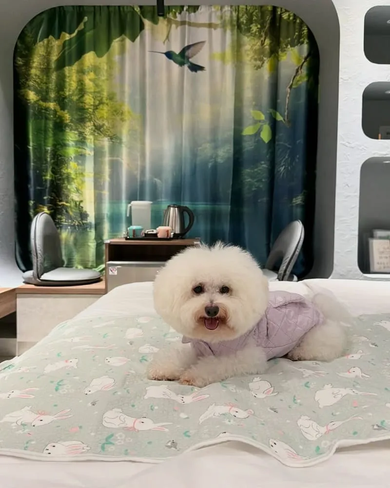 喆柚家 宜蘭礁溪寵物友善溫泉住宿