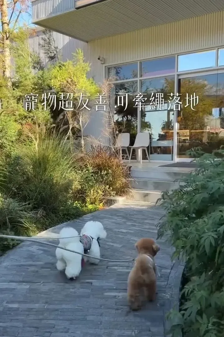 Mountain Bica Cafe|清境寵物友善景點,南投山景第一排玻璃屋咖啡廳 15 Mountain Bica Cafe|清境寵物友善景點