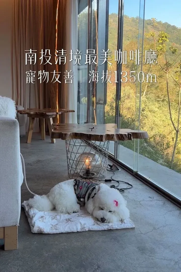 Mountain Bica Cafe|清境寵物友善景點,南投山景第一排玻璃屋咖啡廳 6 Mountain Bica Cafe|清境寵物友善景點