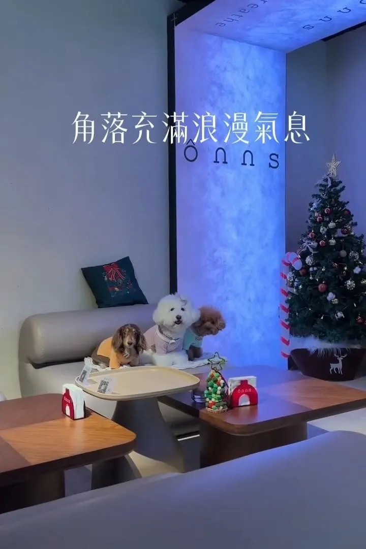 onns cafe|台北大安落地窗質感早午餐,煙囪捲必點的寵物友善體驗 14 onns cafe|台北大安落地窗質感早午餐
