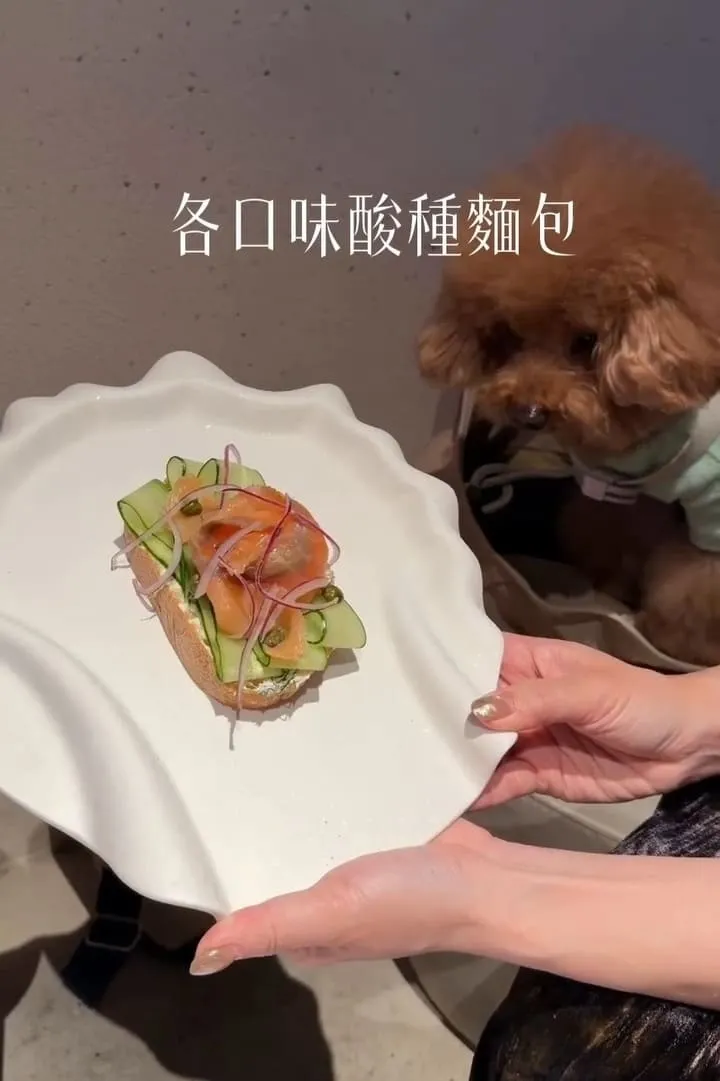 onns cafe|台北大安落地窗質感早午餐,煙囪捲必點的寵物友善體驗 15 onns cafe|台北大安落地窗質感早午餐