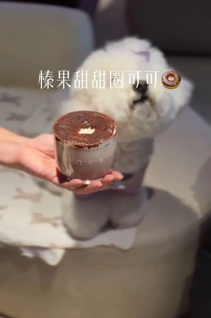 onns cafe|台北大安落地窗質感早午餐,煙囪捲必點的寵物友善體驗 10 onns cafe|台北大安落地窗質感早午餐