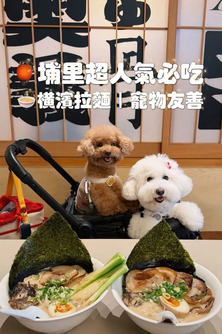橫濱拉麵埔里寵物友善拉麵