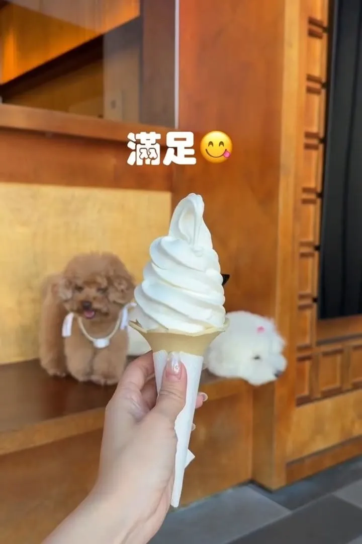 橫濱拉麵埔里寵物友善拉麵