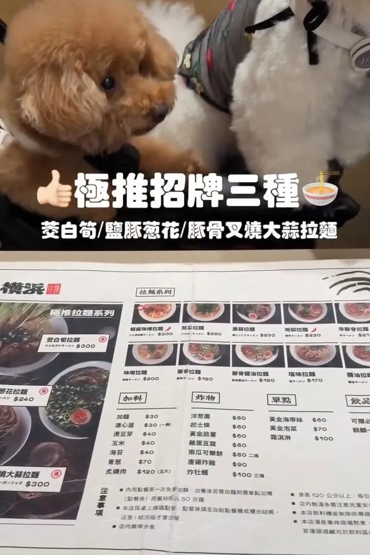 橫濱拉麵埔里寵物友善拉麵