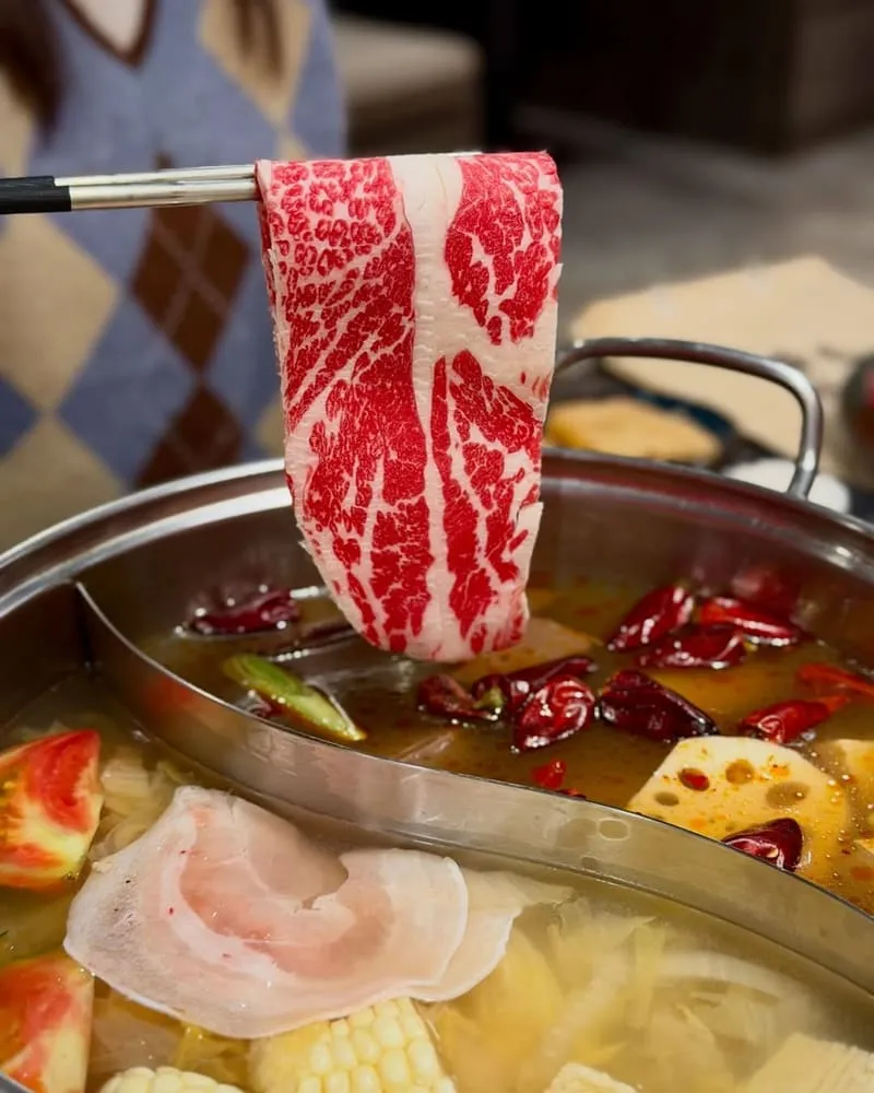 辛喬麻辣 台北信義寵物友善火鍋