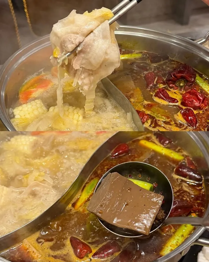 辛喬麻辣 台北信義寵物友善火鍋