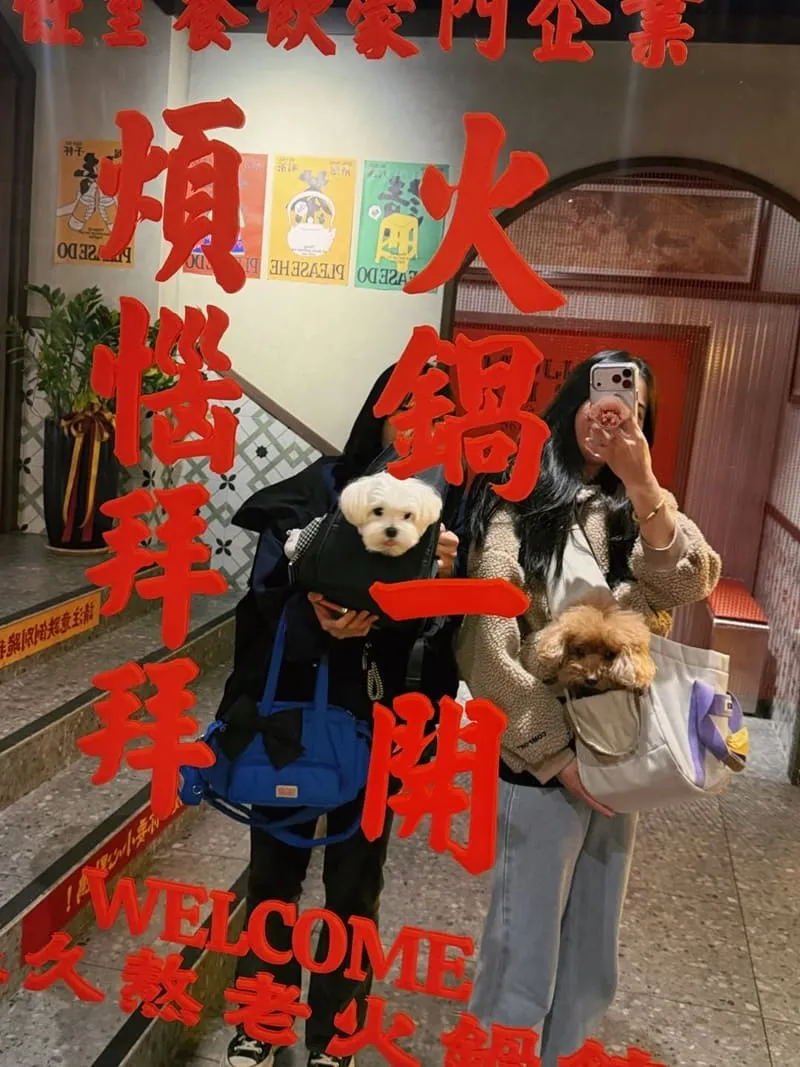 溫久熬老火鍋館|台中寵物友善麻辣鍋,麻辣紅湯厚度與必點菜一次懂 4 溫久熬老火鍋館|台中寵物友善麻辣鍋