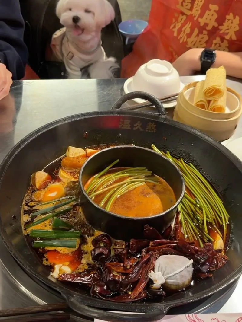 溫久熬老火鍋館|台中寵物友善麻辣鍋,麻辣紅湯厚度與必點菜一次懂 5 溫久熬老火鍋館|台中寵物友善麻辣鍋