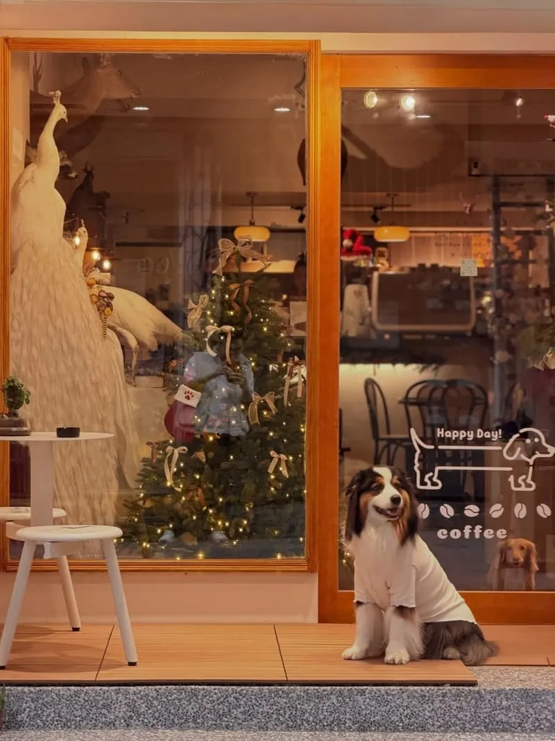 Well Done Art Cafe 寵物友善咖啡廳