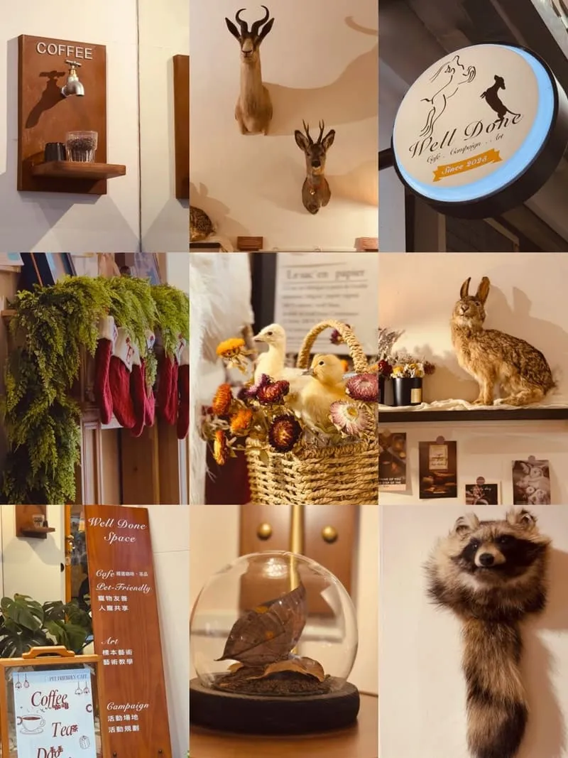 Well Done Art Cafe 寵物友善咖啡廳