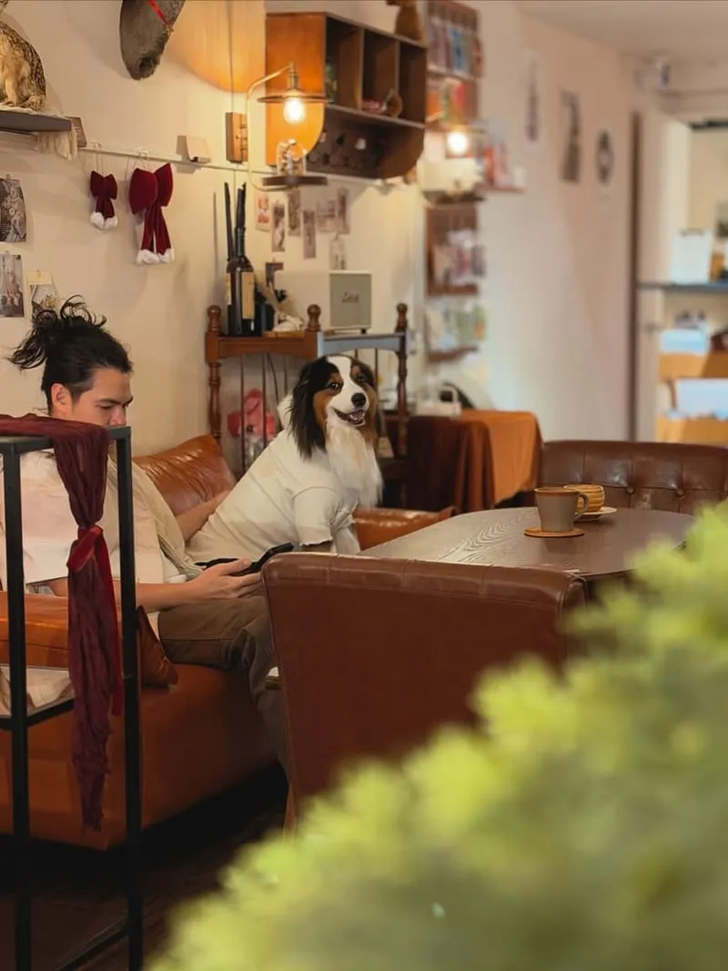 Well Done Art Cafe 寵物友善咖啡廳