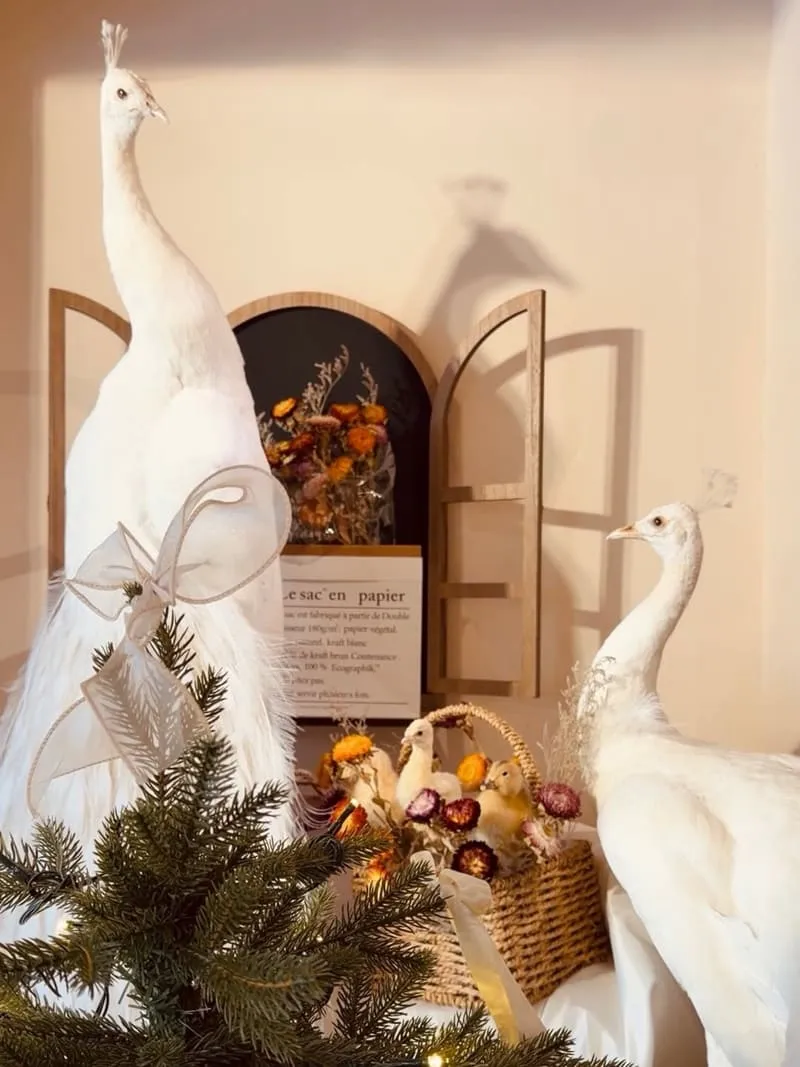 Well Done Art Cafe 寵物友善咖啡廳