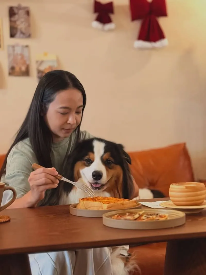 Well Done Art Cafe 寵物友善咖啡廳