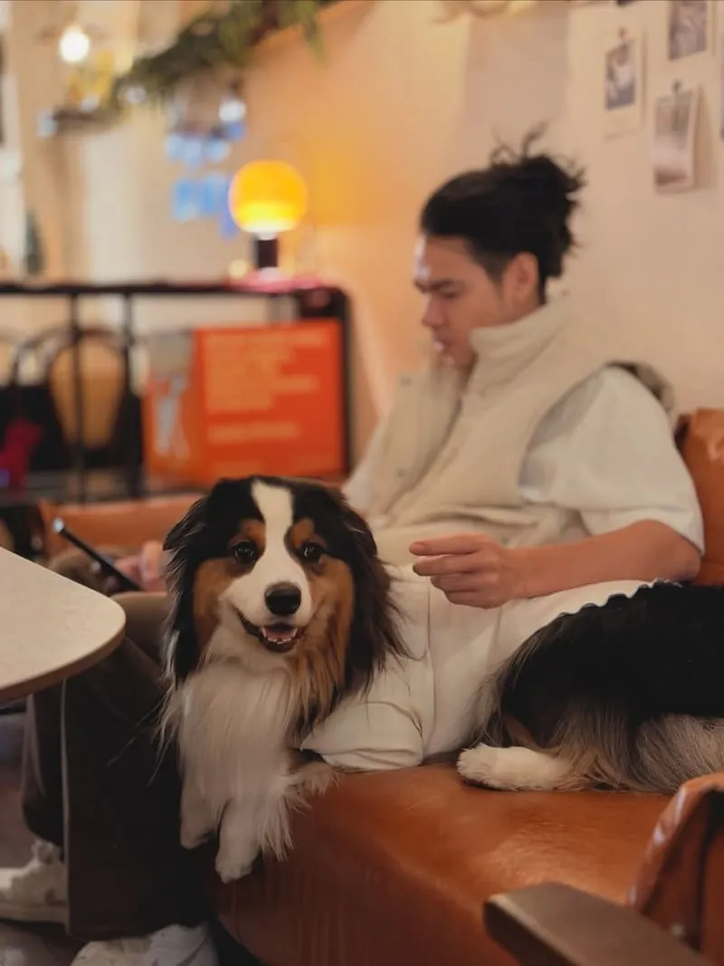 Well Done Art Cafe 寵物友善咖啡廳