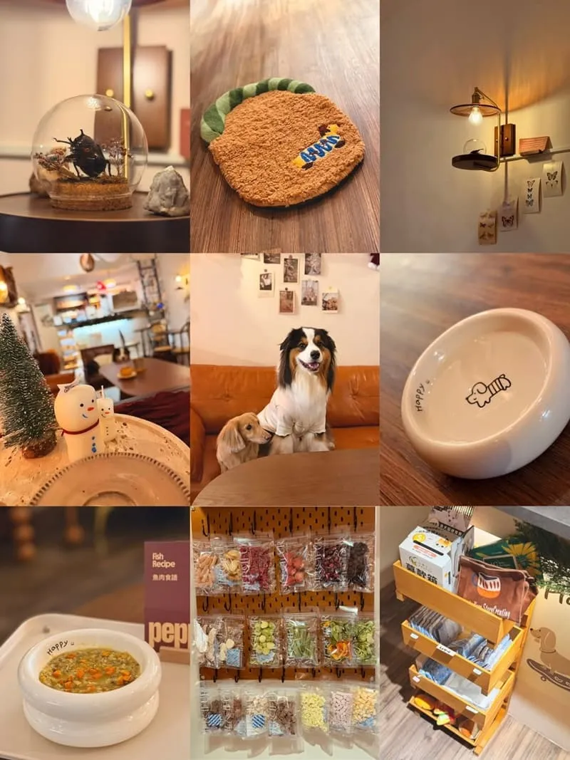 Well Done Art Cafe 寵物友善咖啡廳