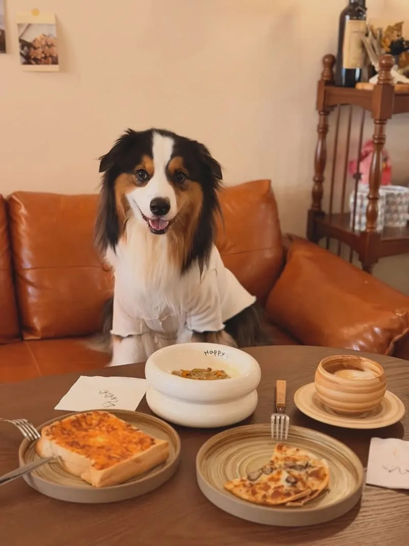 Well Done Art Cafe 寵物友善咖啡廳