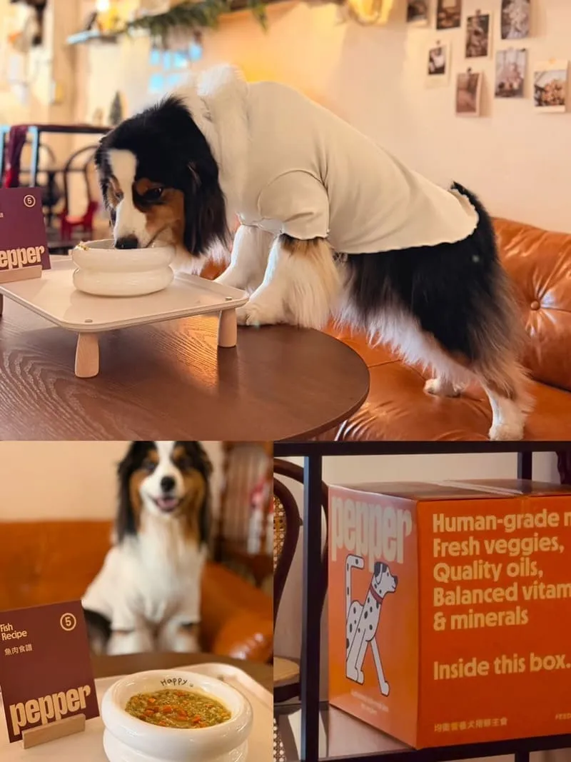 Well Done Art Cafe 寵物友善咖啡廳