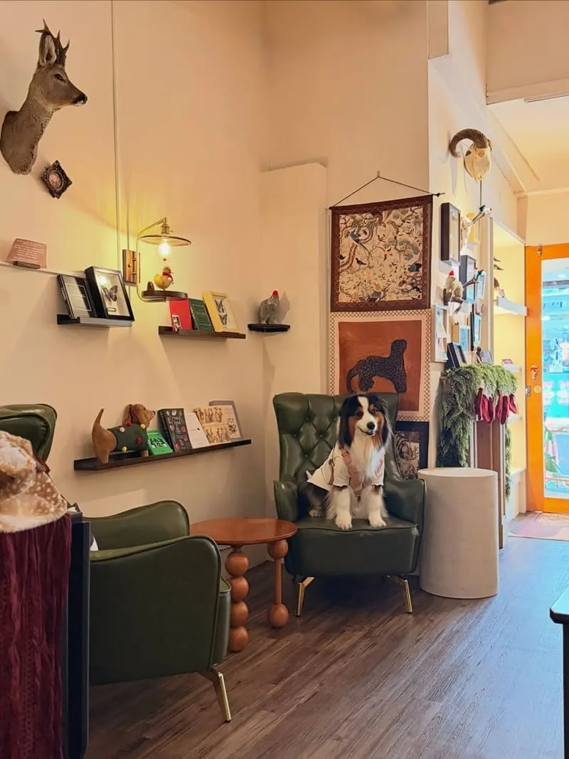 Well Done Art Cafe 寵物友善咖啡廳