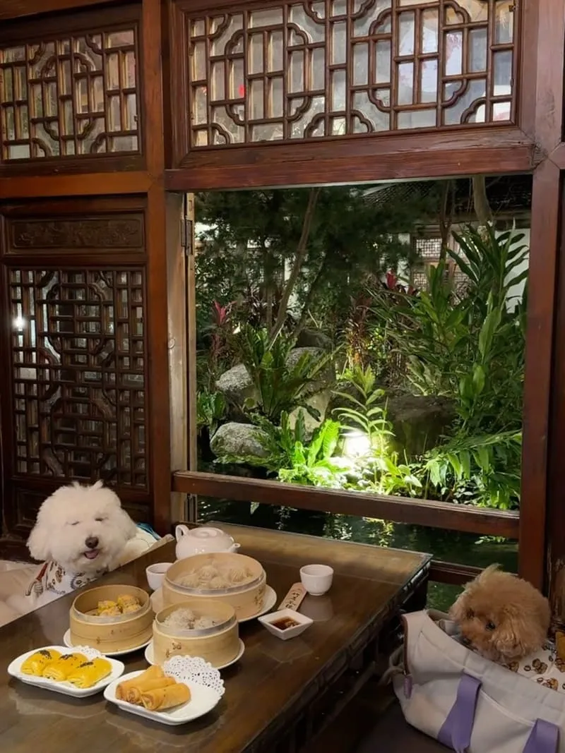 竹居茶樓|帶狗狗坐榻榻米看錦鯉,池畔窗景與港點點餐節奏一次整理 14 竹居茶樓|寵物友善