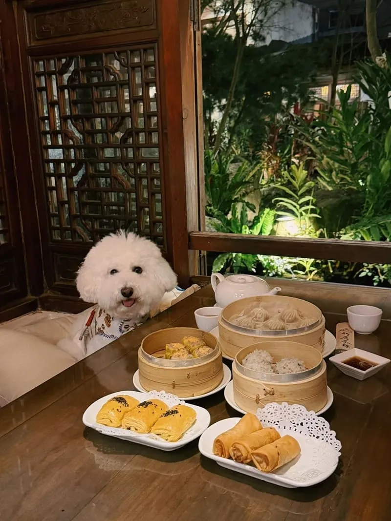 竹居茶樓|帶狗狗坐榻榻米看錦鯉,池畔窗景與港點點餐節奏一次整理 5 竹居茶樓|寵物友善