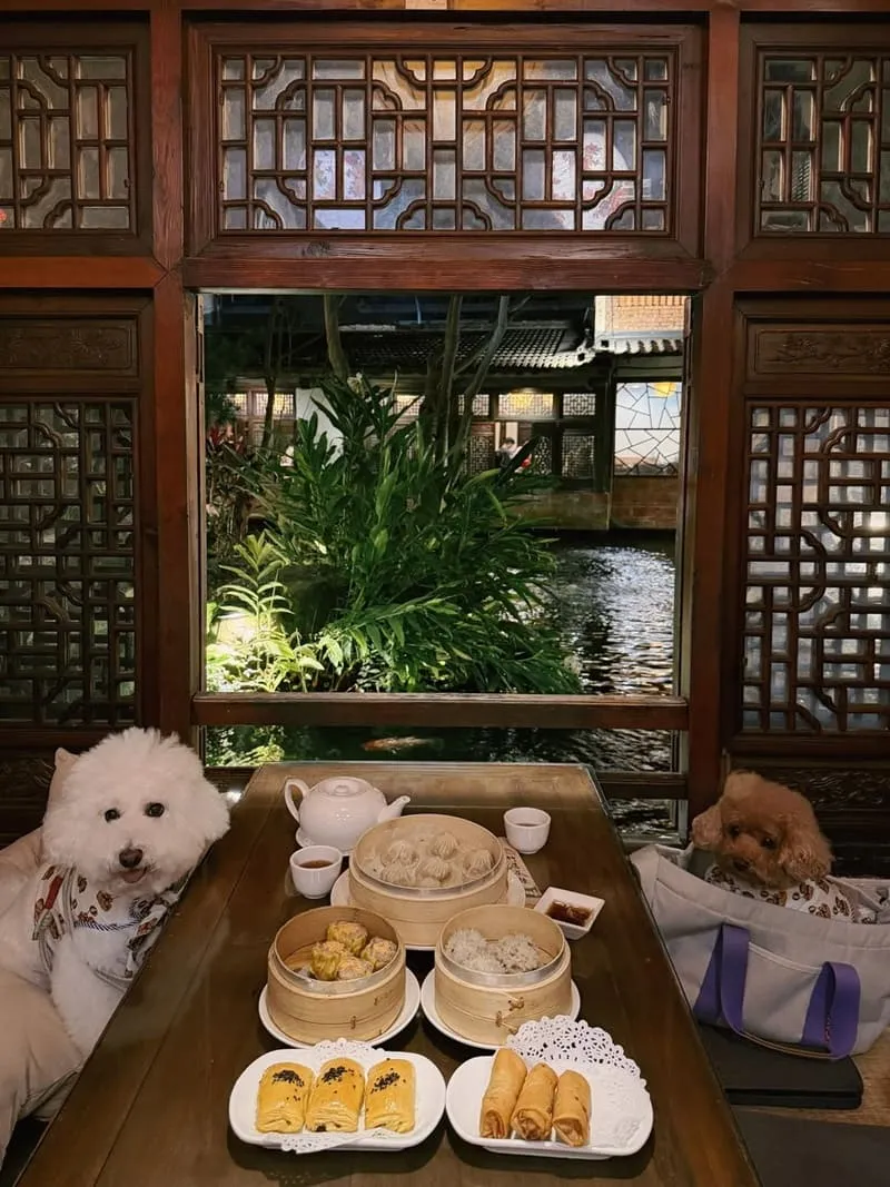竹居茶樓|帶狗狗坐榻榻米看錦鯉,池畔窗景與港點點餐節奏一次整理 9 竹居茶樓|寵物友善