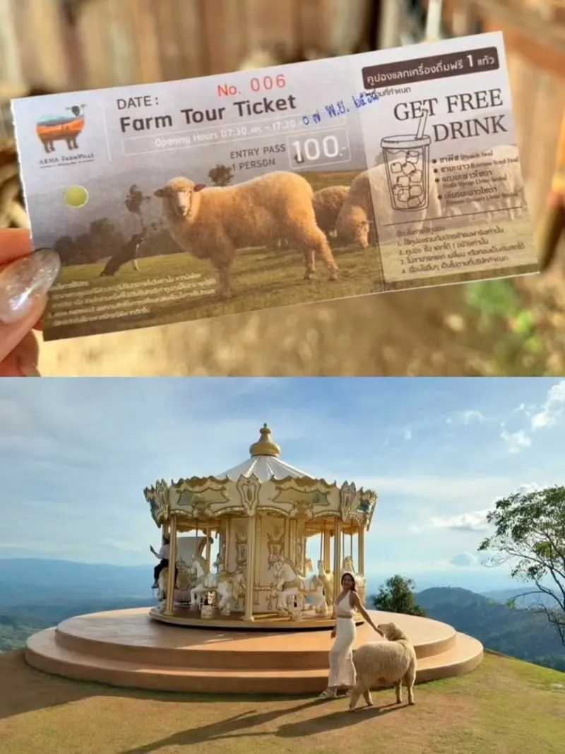 Akha FarmVille 動物互動指南:餵羊合照不踩雷,溫柔界線讓照片更自然 4 Akha FarmVille|清萊景點