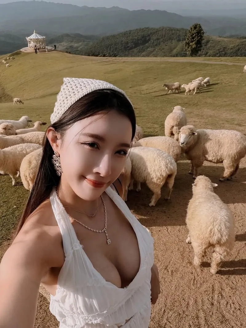 Akha FarmVille 動物互動指南:餵羊合照不踩雷,溫柔界線讓照片更自然 7 Akha FarmVille|清萊景點