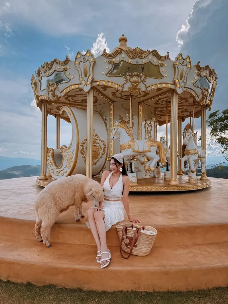 Akha FarmVille 動物互動指南:餵羊合照不踩雷,溫柔界線讓照片更自然 8 Akha FarmVille|清萊景點