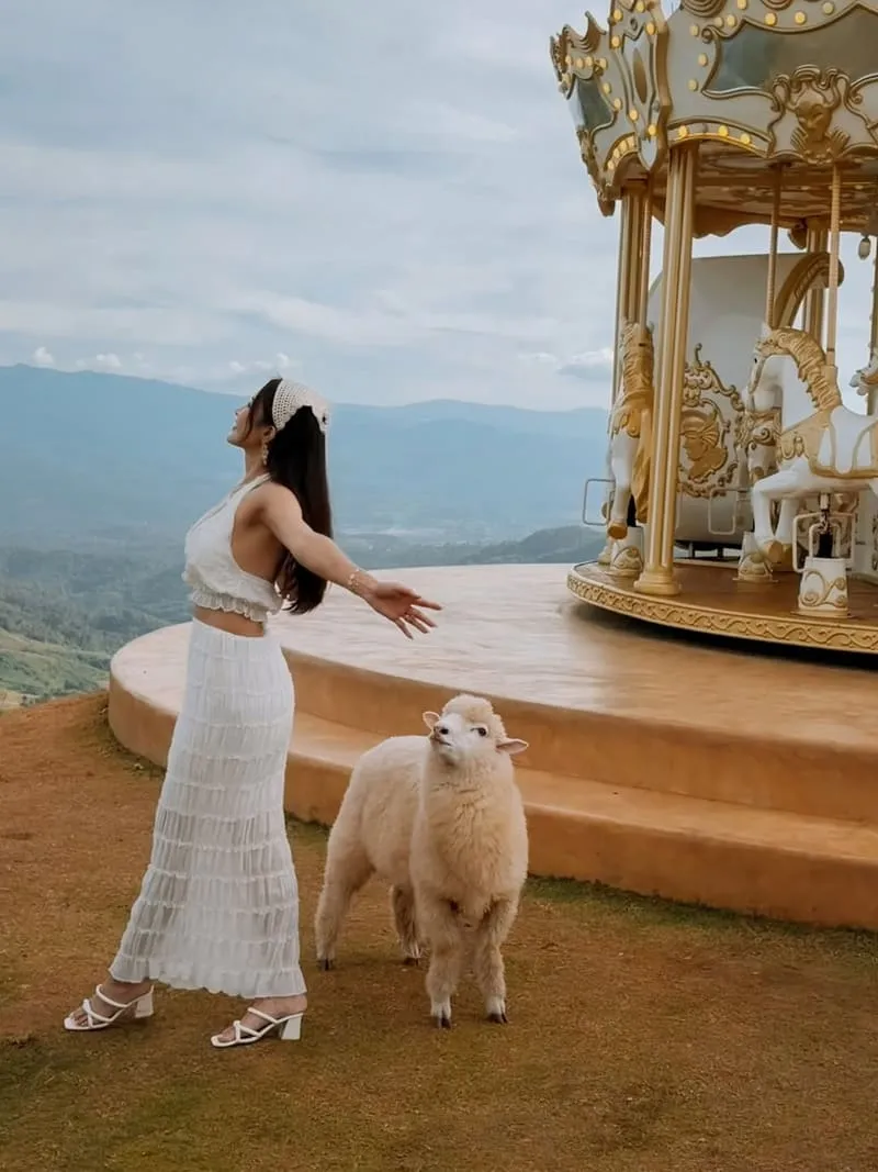 Akha FarmVille 動物互動指南:餵羊合照不踩雷,溫柔界線讓照片更自然 10 Akha FarmVille|清萊景點