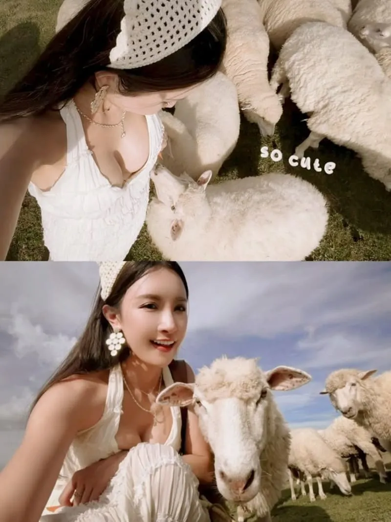 Akha FarmVille 動物互動指南:餵羊合照不踩雷,溫柔界線讓照片更自然 11 Akha FarmVille|清萊景點