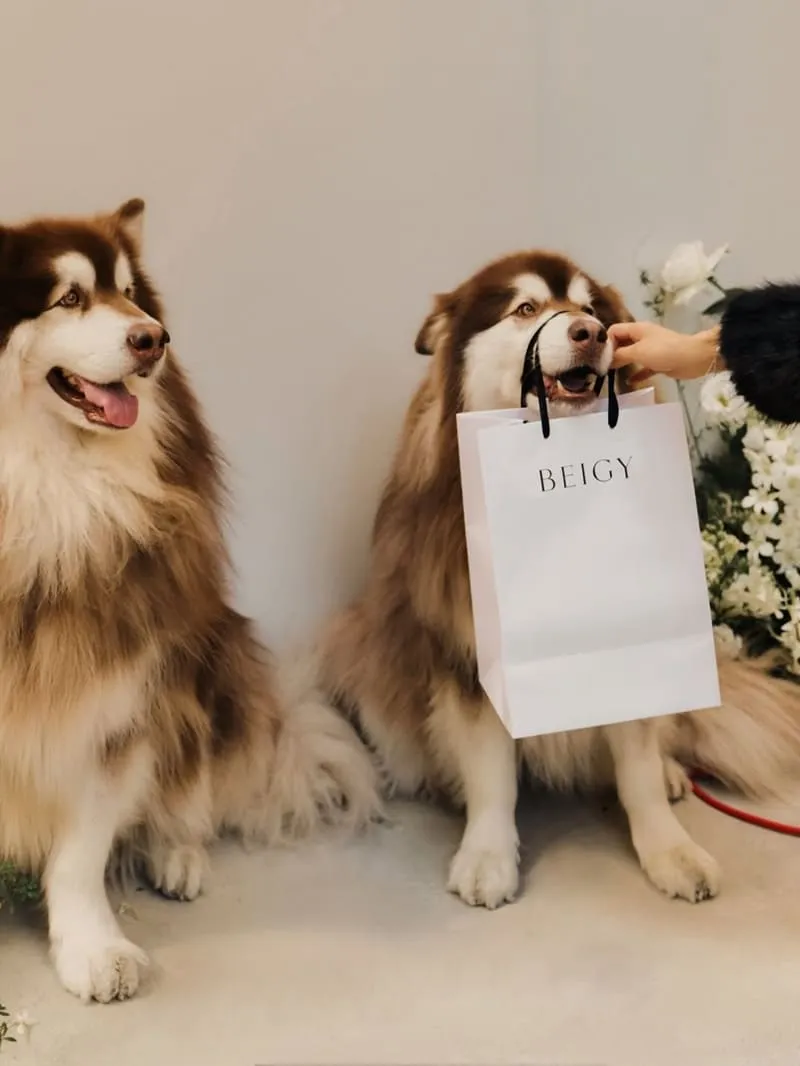 BEIGY 中山門市|Bra Top「第二層肌膚」選購:支撐感、彈性與試穿判斷 12 BEIGY 中山門市