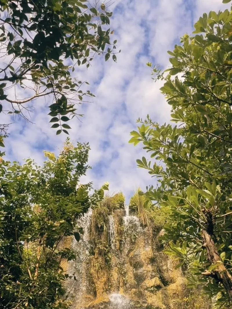 Lalitta Café|清萊光影系取景秘境,丁達爾光束與瀑布場景拍攝節奏 5 Lalitta Café|清萊光影系取景秘境