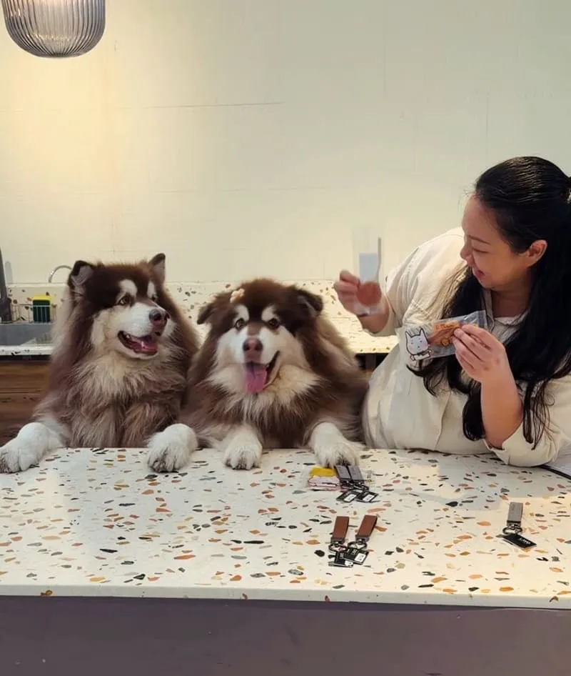 寗夏看海.壹館|大型犬入住宜蘭看海館,一層一戶動線與規範重點整理 5 寗夏看海.壹館(寵物友善民宿)